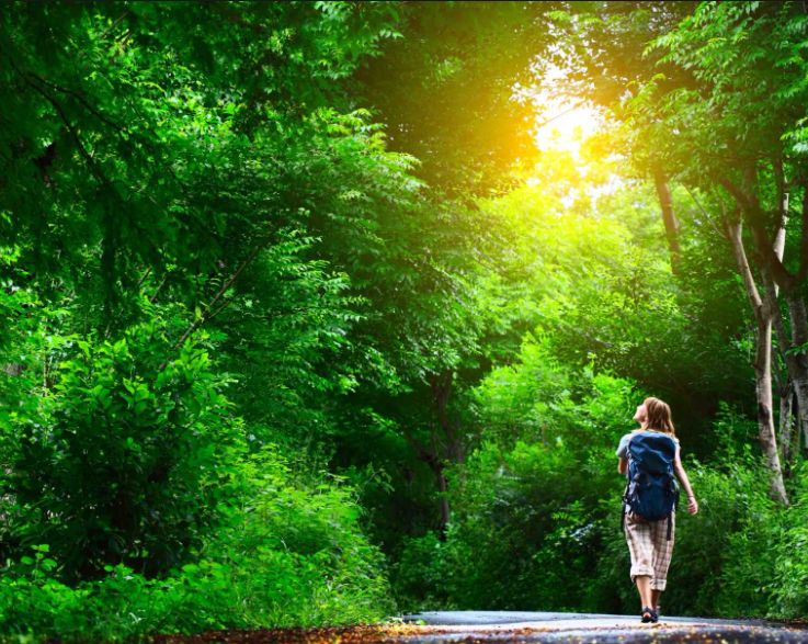 Conectar con la naturaleza