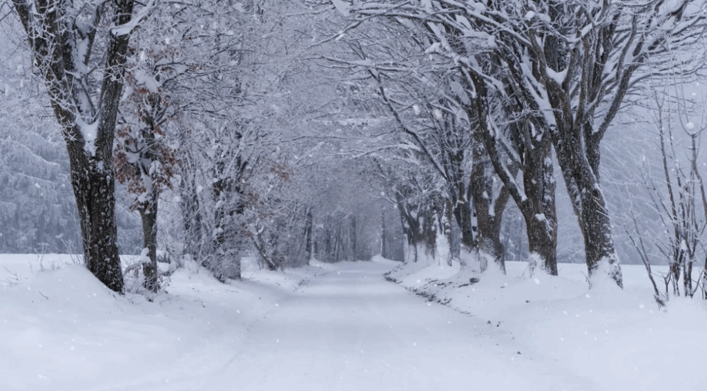 Solsticio de Invierno & Limpieza Energética